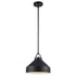 Trans Globe Lighting PND-2242 BK Lowen black pendant ceiling light