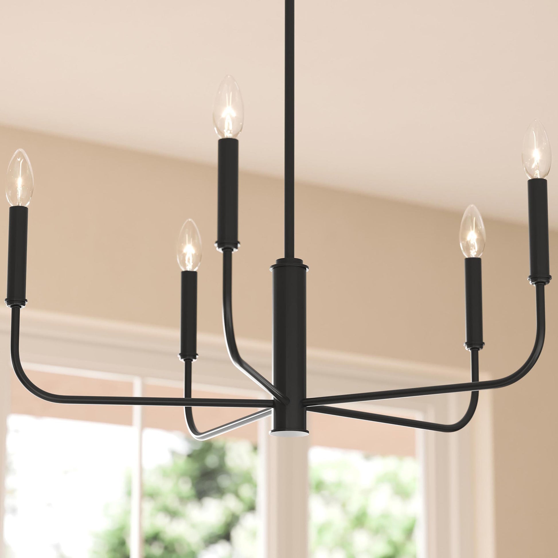 Progress Lighting Reines P400446-31M Matte Black Chandelier Detail Close-Up