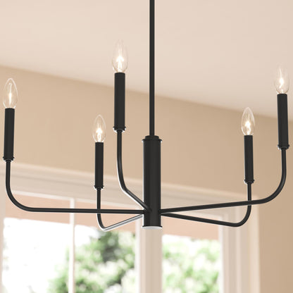 Progress Lighting Reines P400446-31M Matte Black Chandelier Detail Close-Up