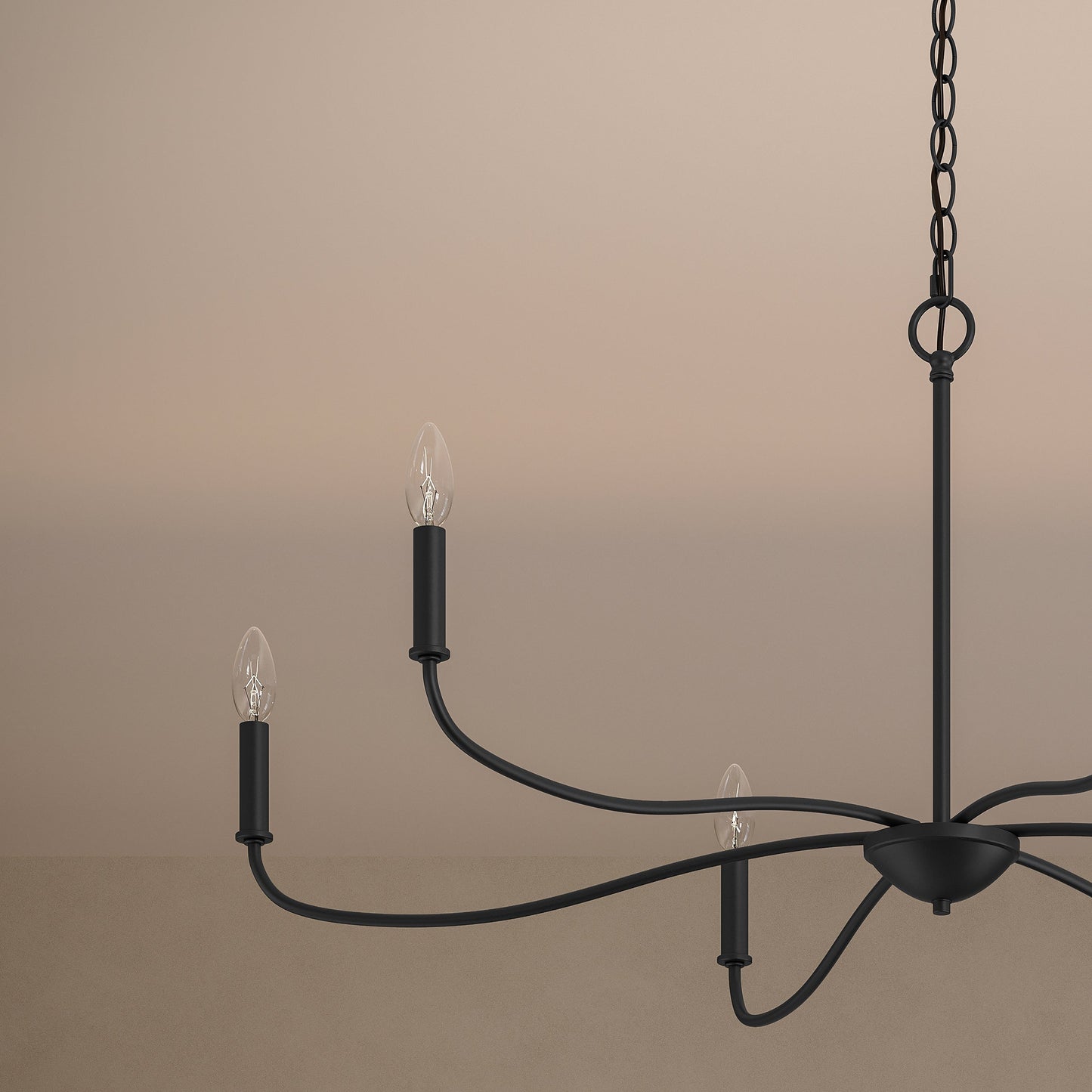 Progress Lighting P400464-31M Ilia 6-Light Matte Black Chandelier - Detail Close-Up