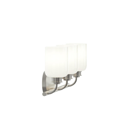 Progress Lighting P300579-009 Reines 3-Light Brushed Nickel Bath Vanity additional view
