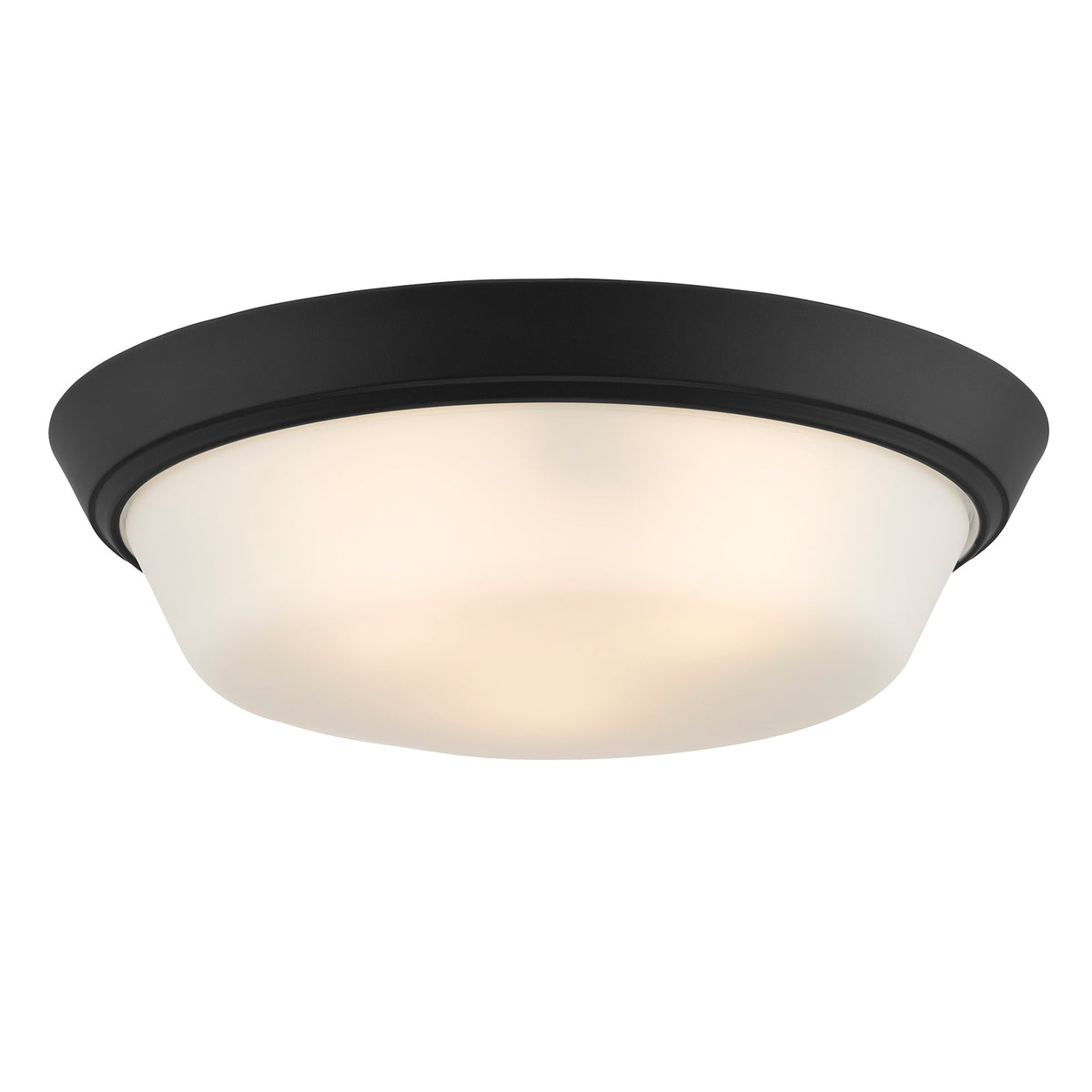 Progress Lighting P350304-031 Edessa Black flush mount ceiling light illuminated