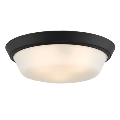 Progress Lighting P350304-031 Edessa Black flush mount ceiling light illuminated