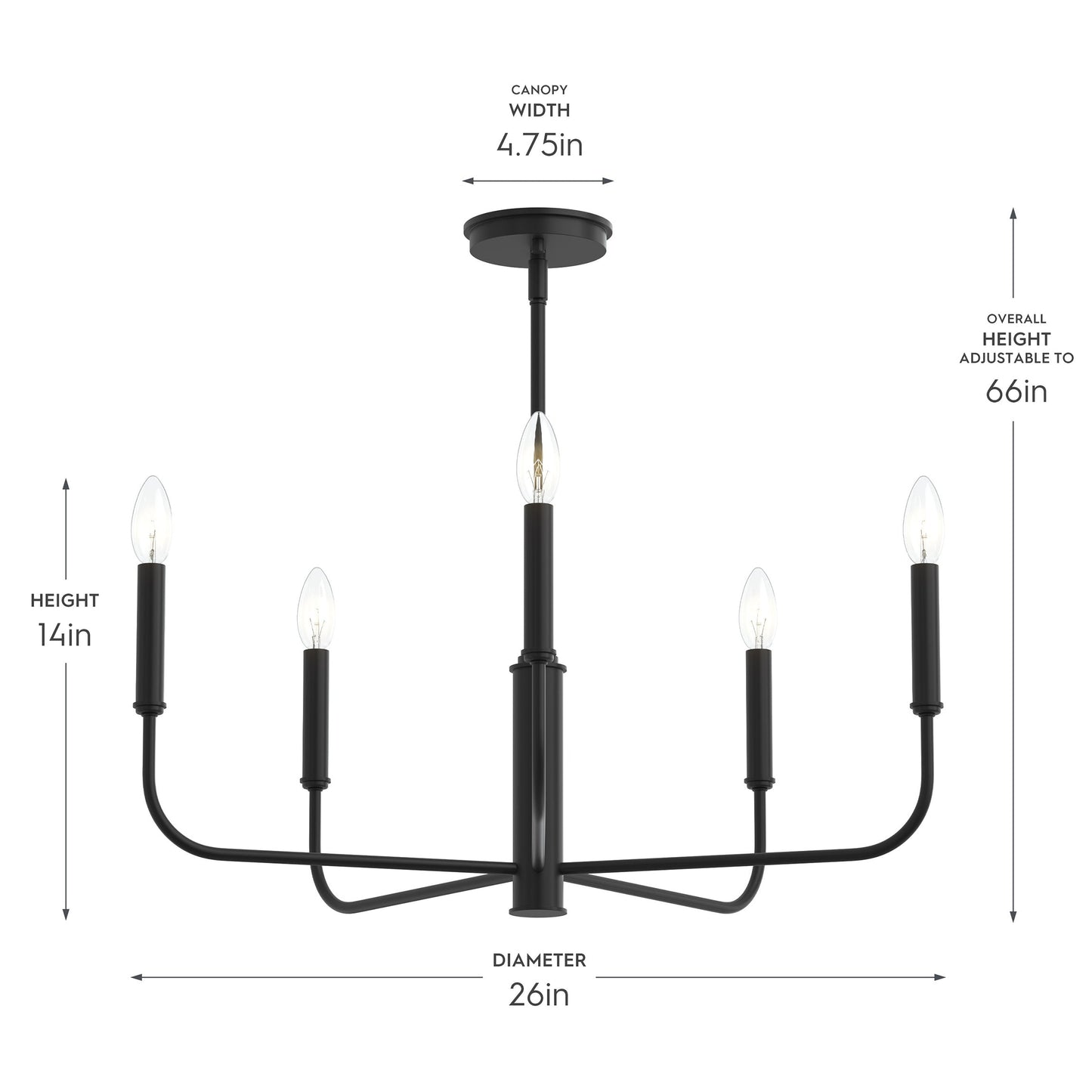 Progress Lighting P400446-31M Reines Chandelier Dimensions Diagram