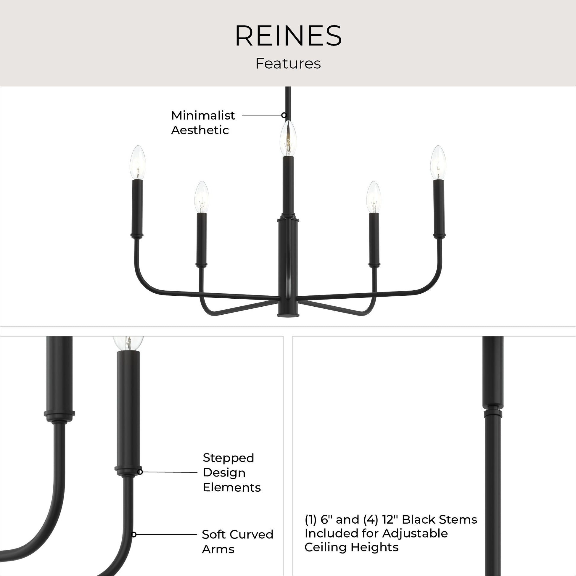 Progress Lighting P400446-31M Reines 5 Light Matte Black Chandelier View 6