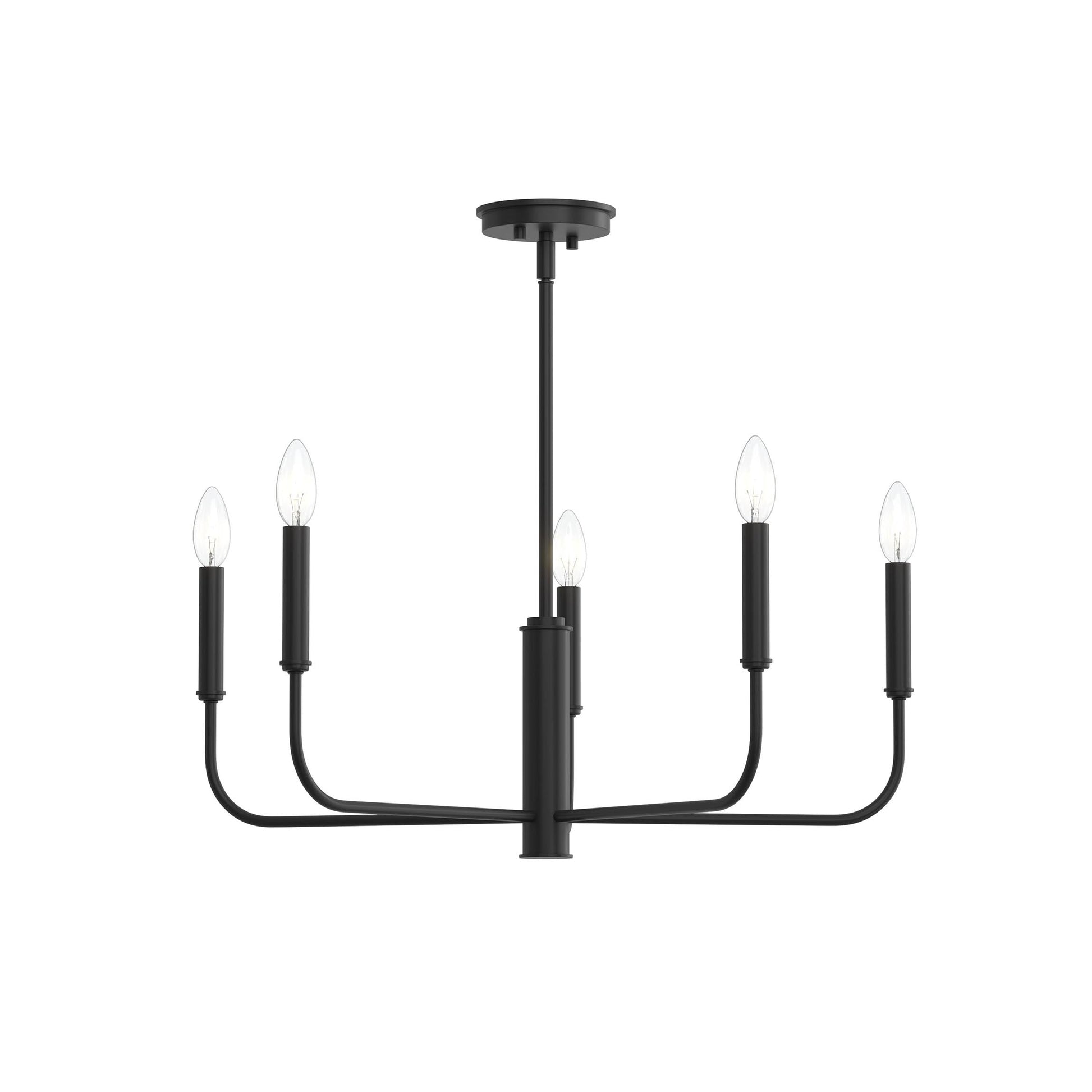 Progress Lighting P400446-31M Reines 5 Light Matte Black Chandelier View 7