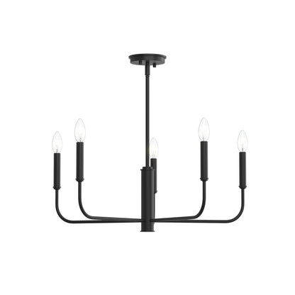 Progress Lighting P400446-31M Reines 5 Light Matte Black Chandelier View 7