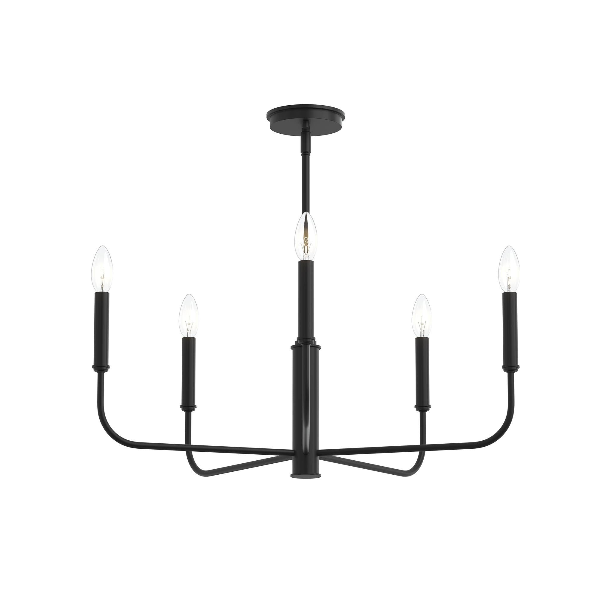 Progress Lighting P400446-31M Reines 5 Light Matte Black Chandelier Ceiling Light