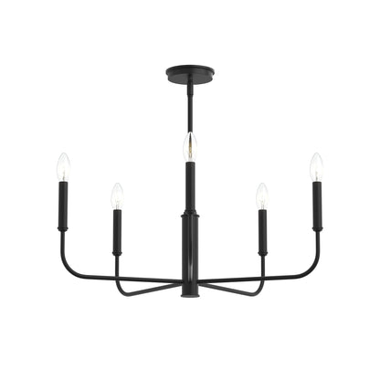Progress Lighting P400446-31M Reines 5 Light Matte Black Chandelier Ceiling Light