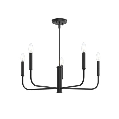 Progress Lighting P400446-31M Reines 5 Light Matte Black Chandelier View 9