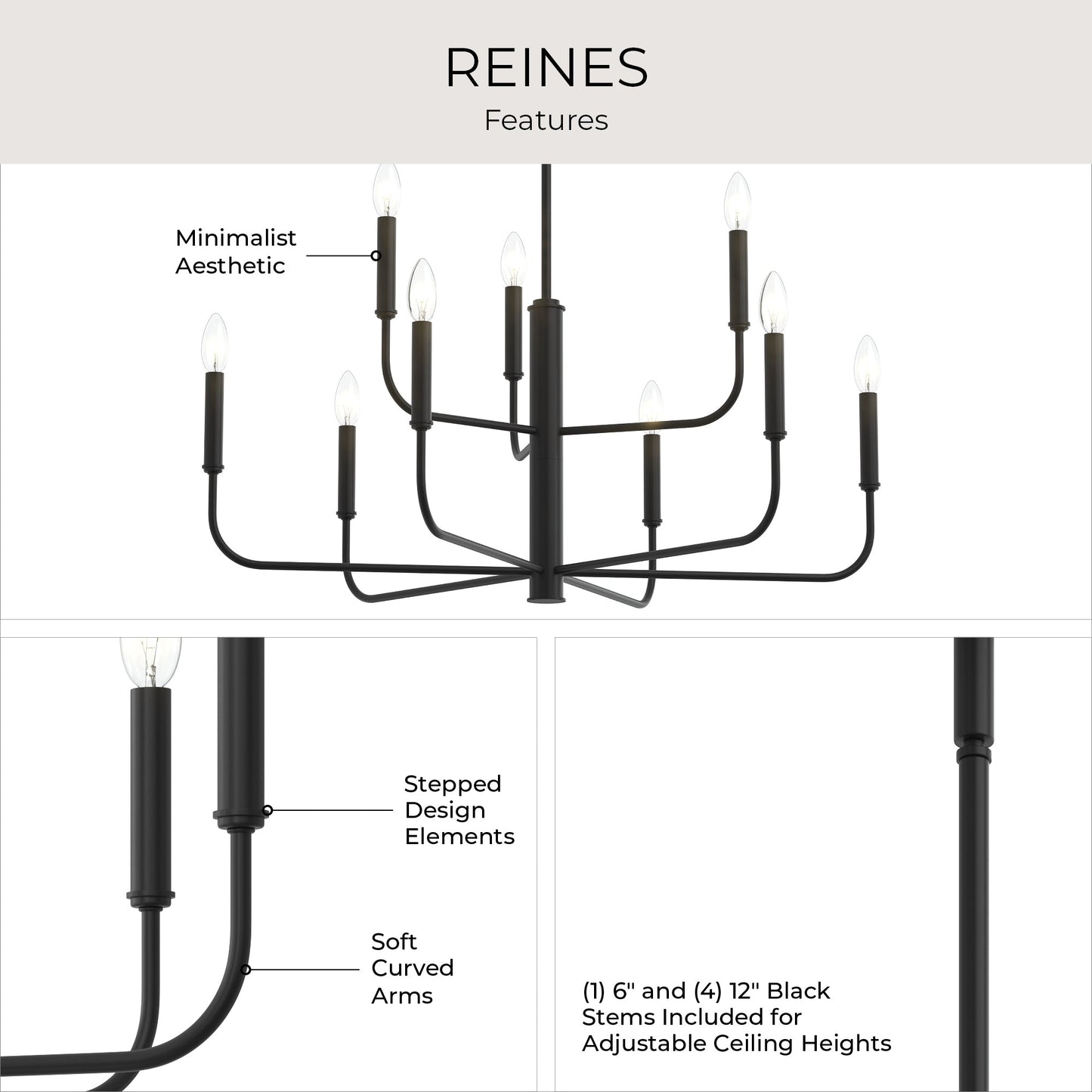 Progress Lighting P400449-31M Reines 9-Light Matte Black Chandelier - Features Infographic