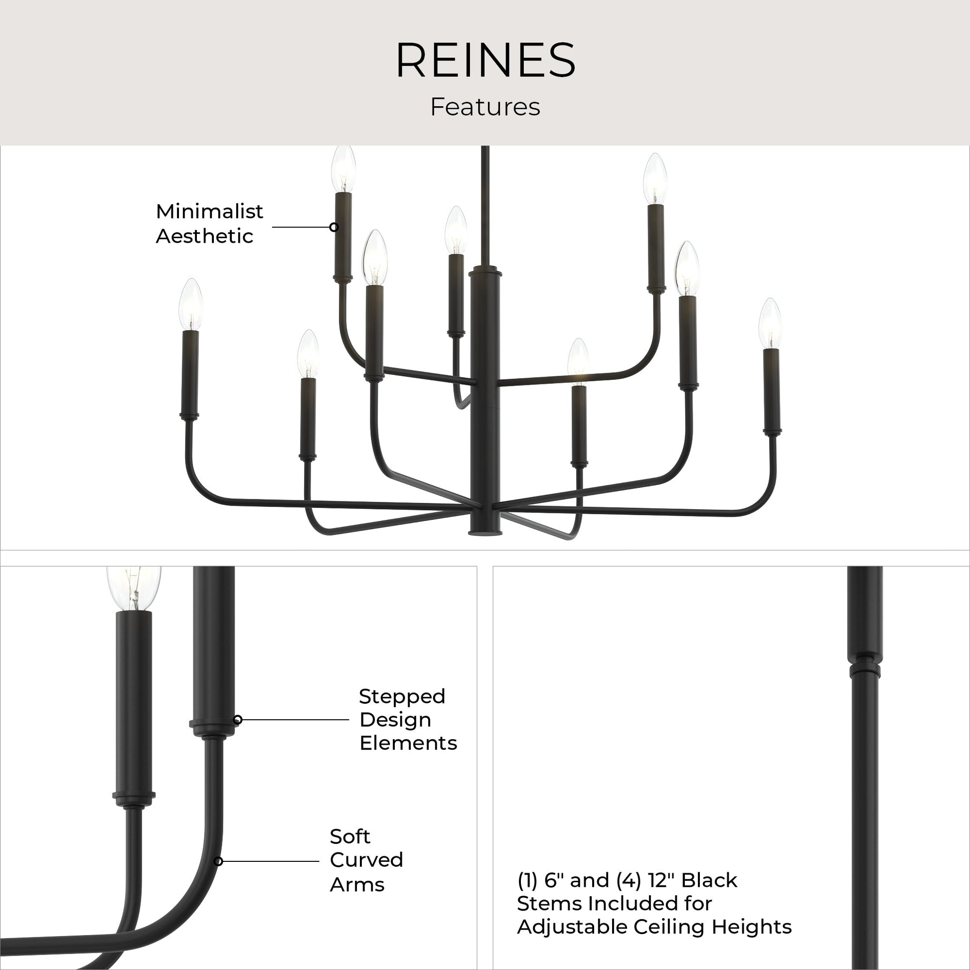 Progress Lighting P400449-31M Reines 9-Light Matte Black Chandelier - Features Infographic