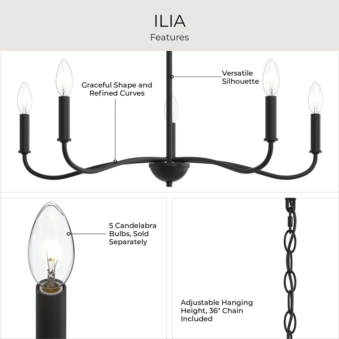 Progress Lighting P400462-31M Ilia 5 Light 28 inch Matte Black Chandelier Ceiling Light