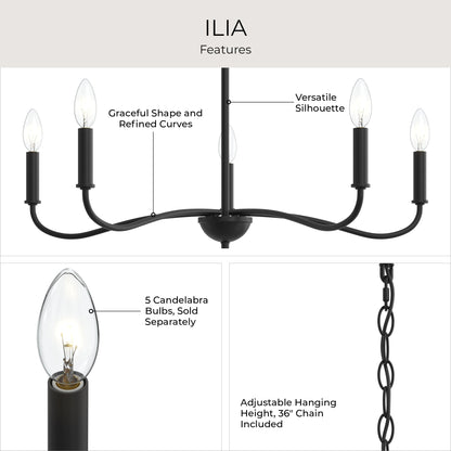Progress Lighting P400462-31M Ilia 5 Light 28 inch Matte Black Chandelier Ceiling Light