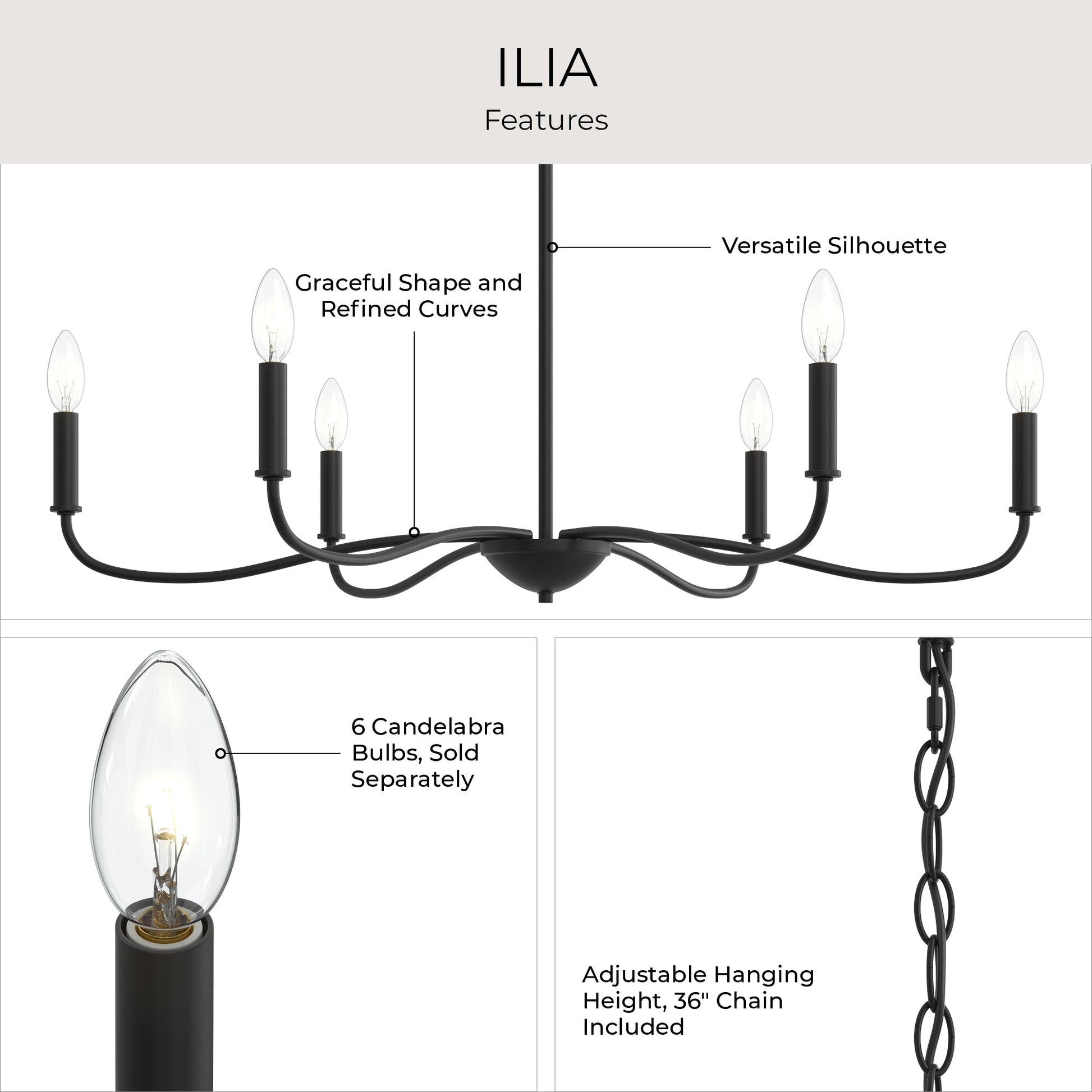 Progress Lighting P400463-31M Ilia Chandelier Feature Highlights Infographic
