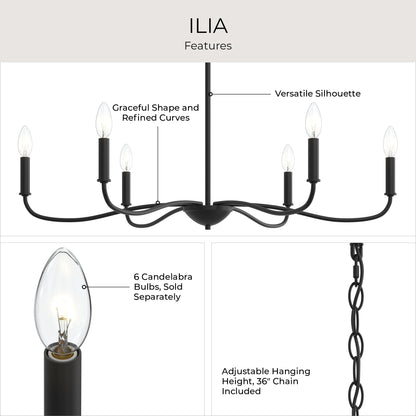 Progress Lighting P400463-31M Ilia Chandelier Feature Highlights Infographic
