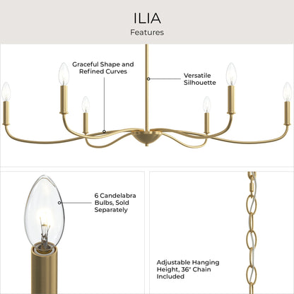 Progress Lighting P400464-191 Ilia Chandelier Features Infographic - Graceful Curves, Versatile Silhouette, 36 inch Chain Included