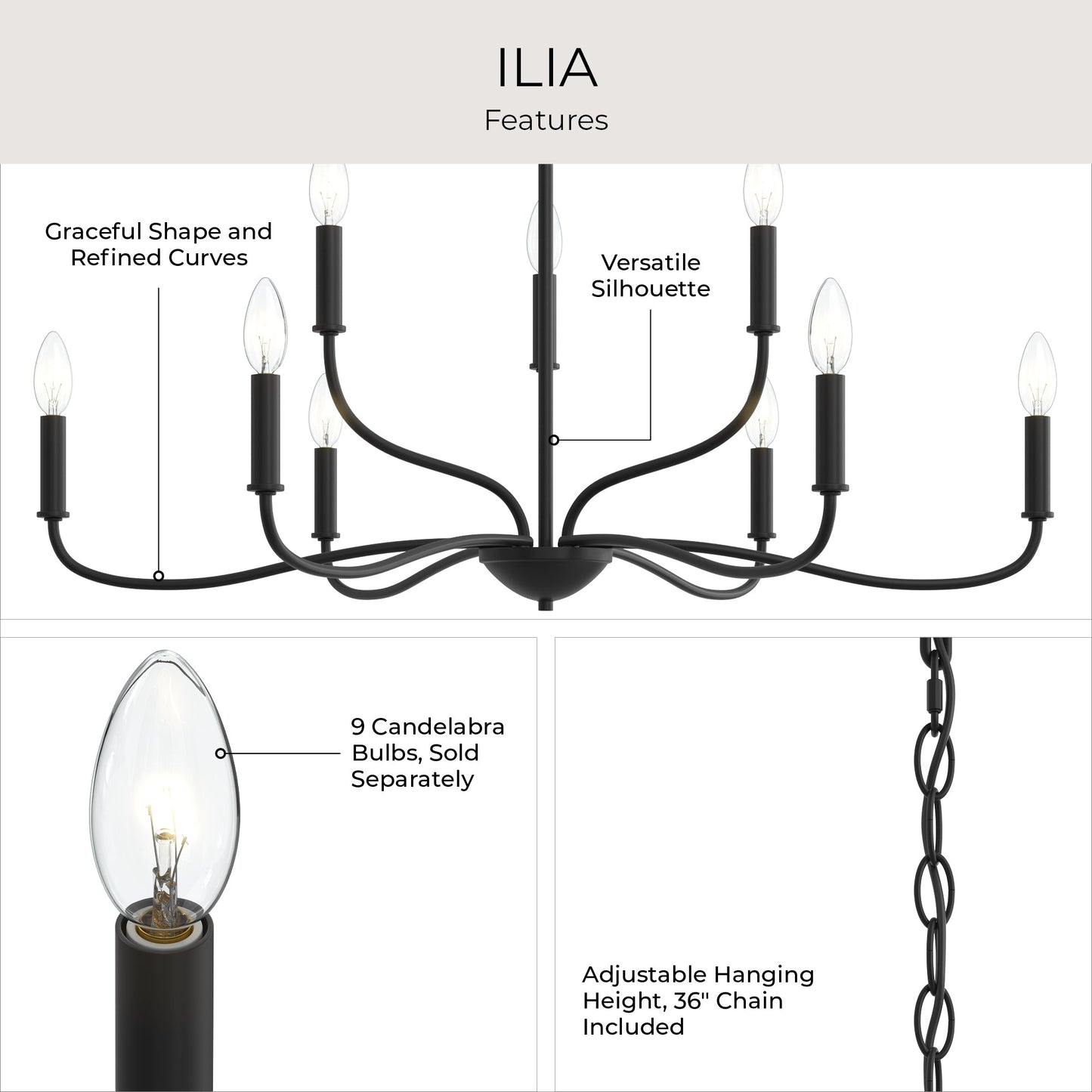 Progress Lighting P400465-31M Ilia Chandelier Features Infographic - Graceful Curves, Versatile Silhouette, 36in Chain Included