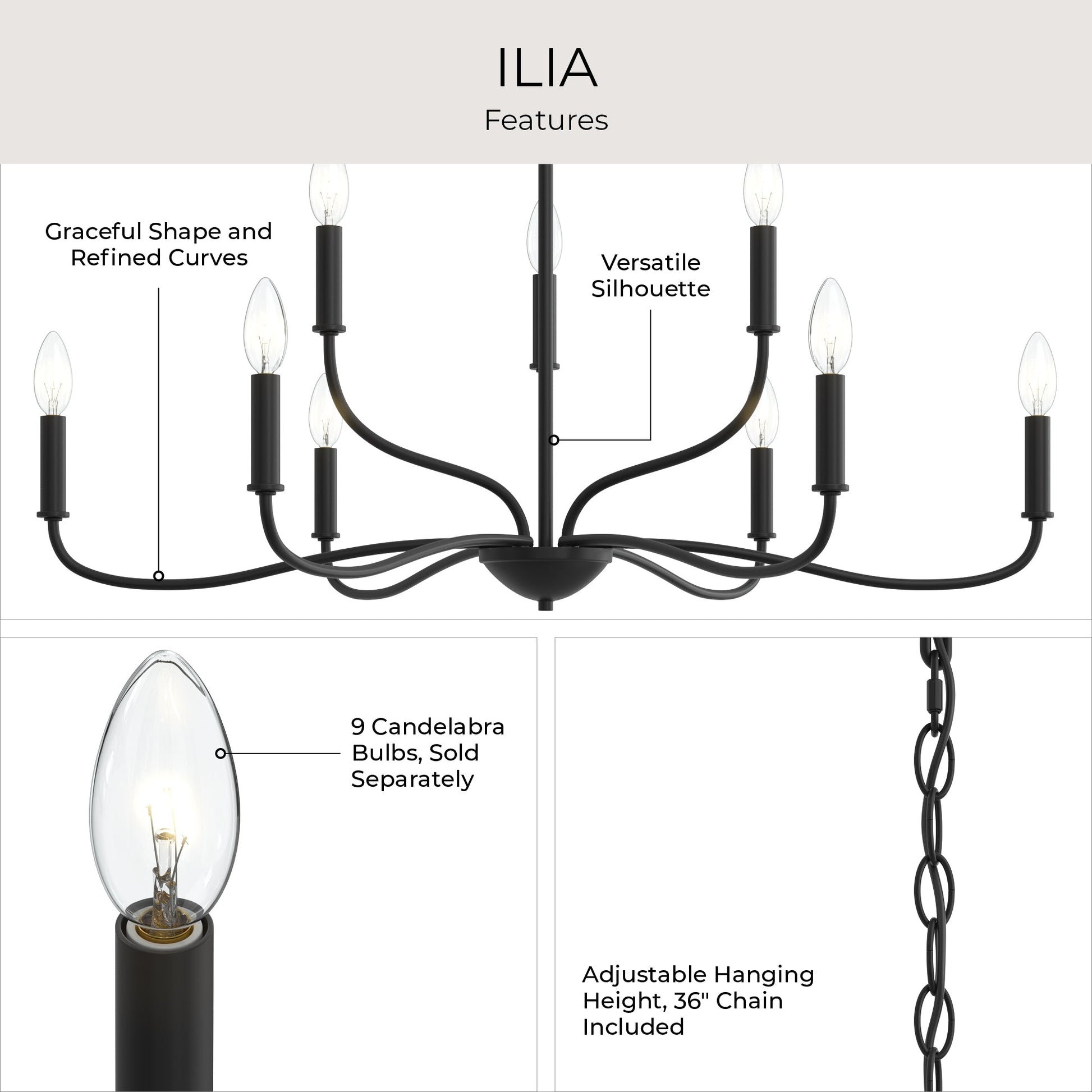 Progress Lighting P400465-31M Ilia Chandelier Features Infographic - Graceful Curves, Versatile Silhouette, 36in Chain Included