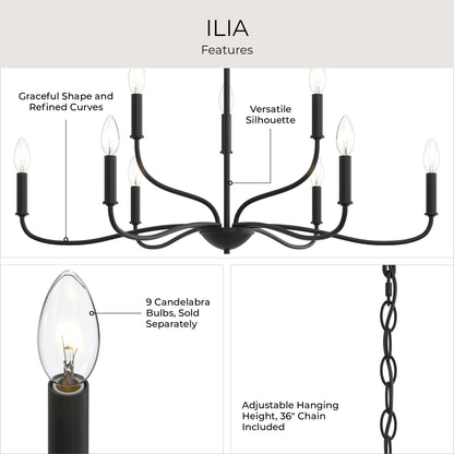 Progress Lighting P400465-31M Ilia Chandelier Features Infographic - Graceful Curves, Versatile Silhouette, 36in Chain Included