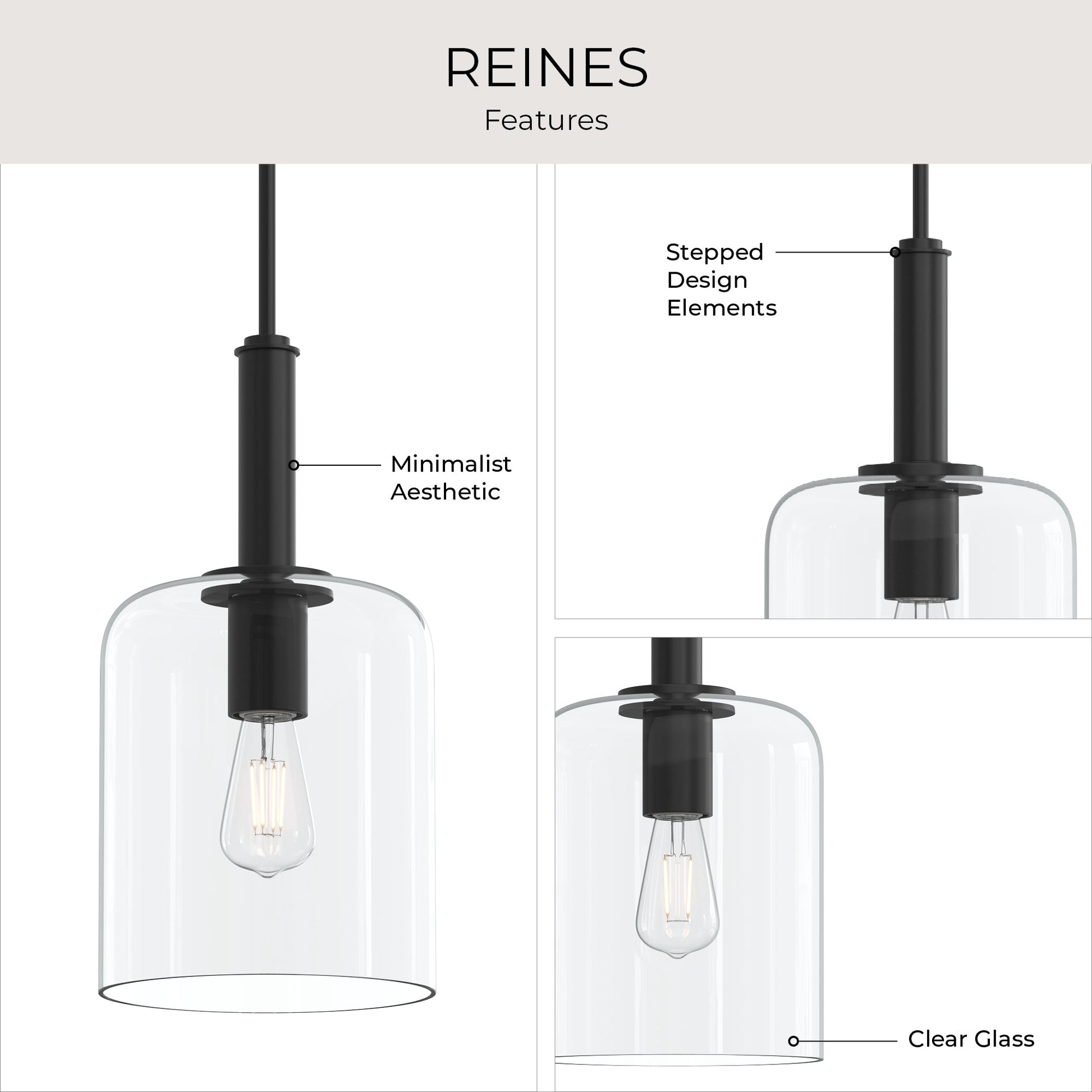 Progress Lighting P500509-31M Reines Pendant Features Infographic
