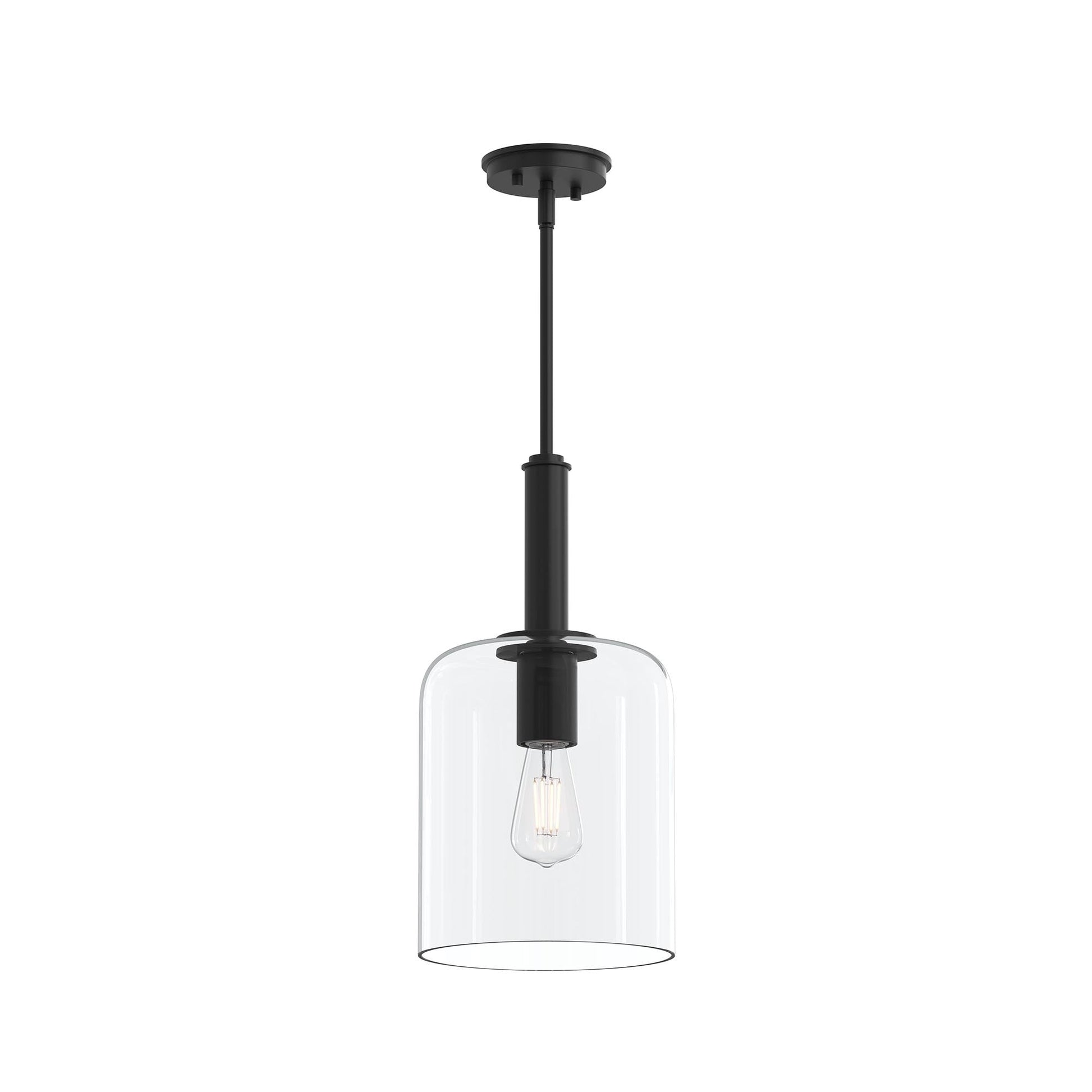 Progress Lighting P500509-31M Reines 1 Light Matte Black Pendant Ceiling Light