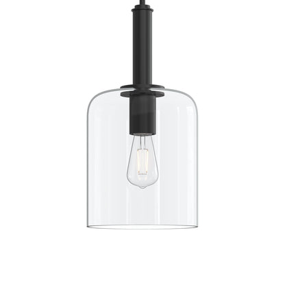 Progress Lighting P500509-31M Reines 1 Light 9 inch Matte Black Pendant Ceiling Light