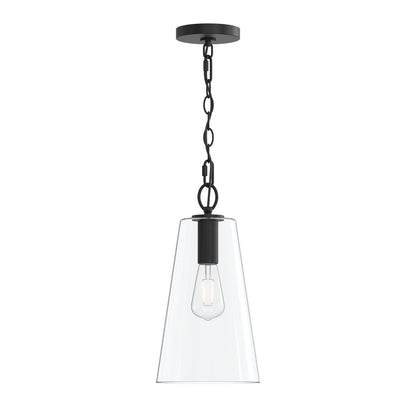 Progress Lighting P500511-31M Jheni 1 Light 8 inch Matte Black Pendant