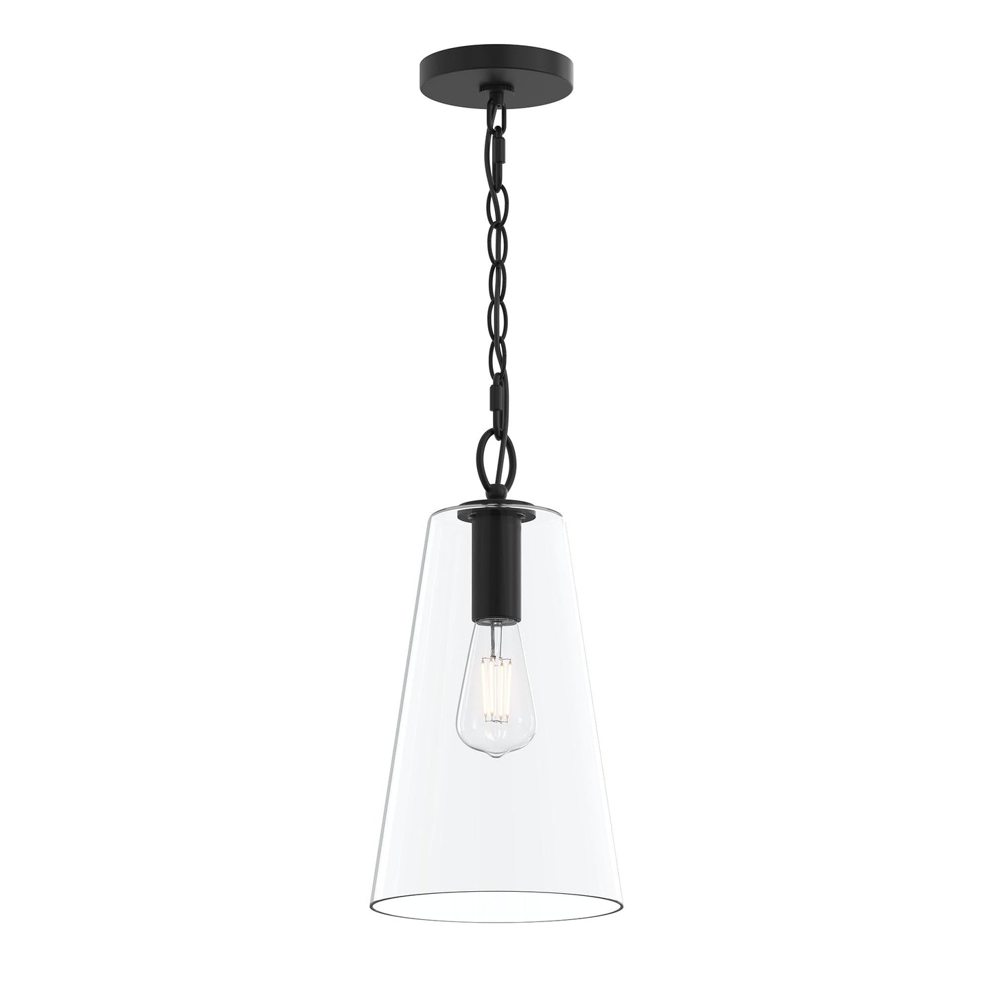 Progress Lighting P500511-31M Jheni 1 Light Matte Black Pendant with Clear Glass Shade