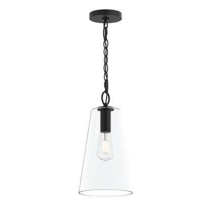 Progress Lighting P500511-31M Jheni 1 Light Matte Black Pendant with Clear Glass Shade