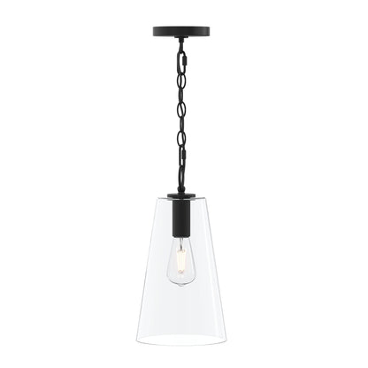 Progress Lighting P500511-31M Jheni 1 Light 8 inch Matte Black Pendant