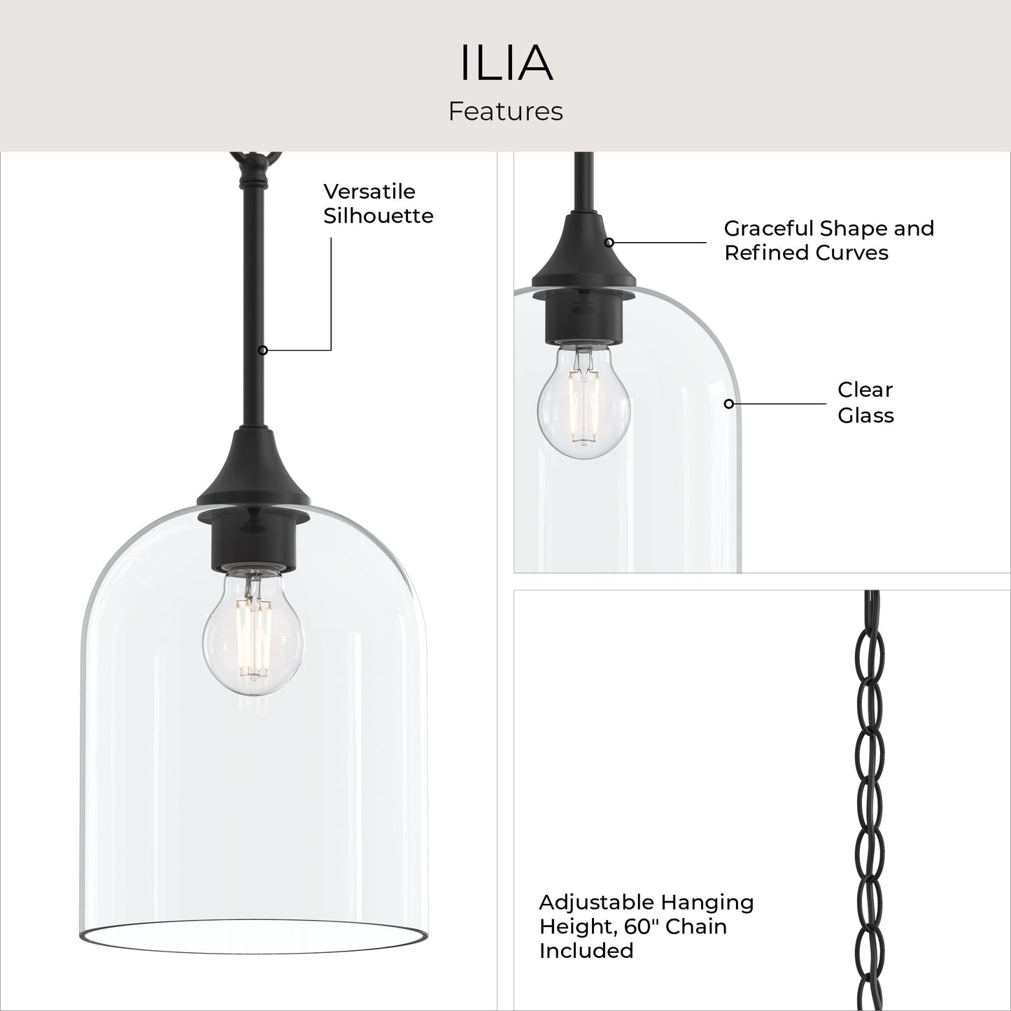 Progress Lighting P500514-31M Ilia Pendant Features Infographic - Clear Glass Adjustable Chain