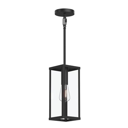 Progress Lighting P550146-31M Ryle 1 Light Matte Black Outdoor Hanging Lantern