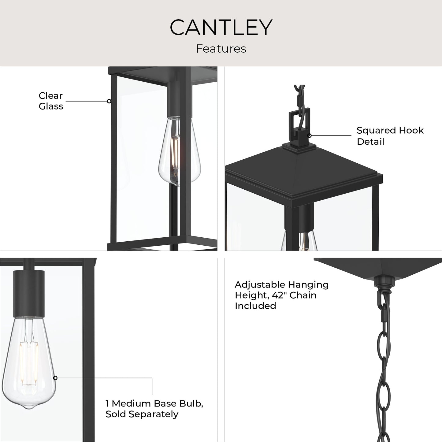 Progress Lighting Cantley P550147-31M Features Infographic - Clear Glass Squared Hook Detail Medium Base Bulb and 42-Inch Chain