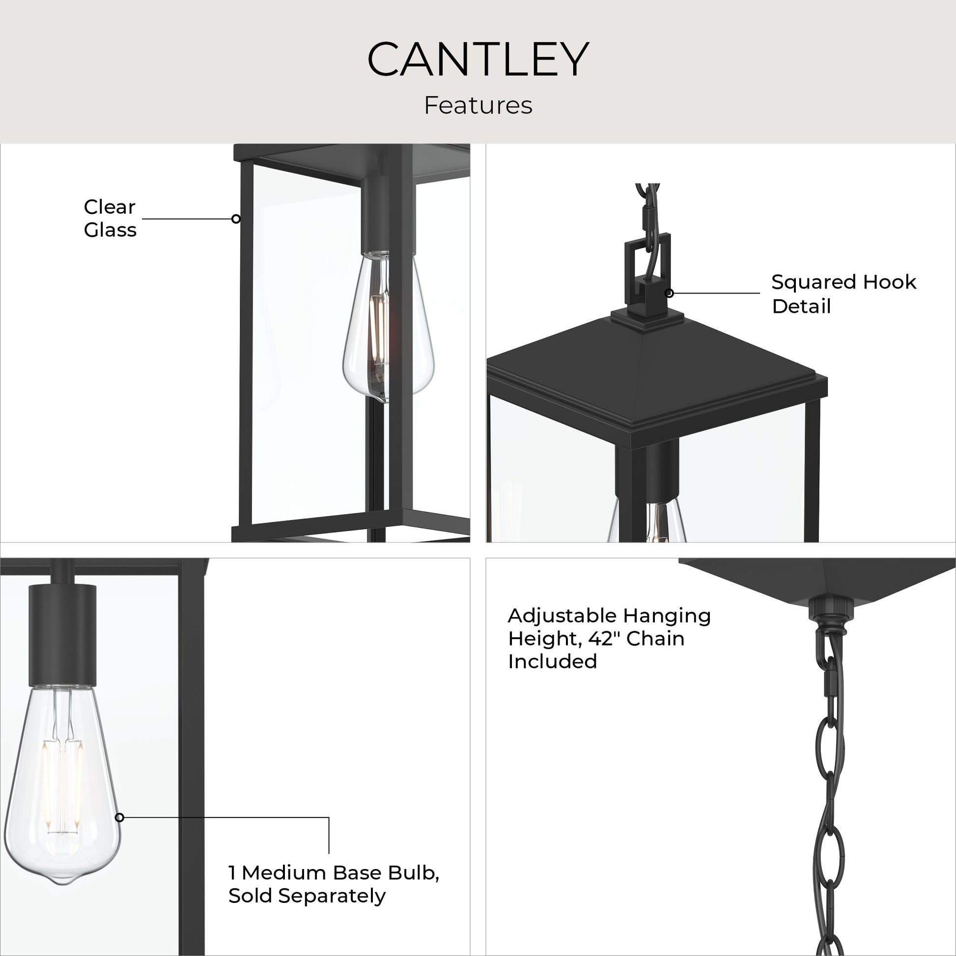 Progress Lighting Cantley P550147-31M Features Infographic - Clear Glass Squared Hook Detail Medium Base Bulb and 42-Inch Chain
