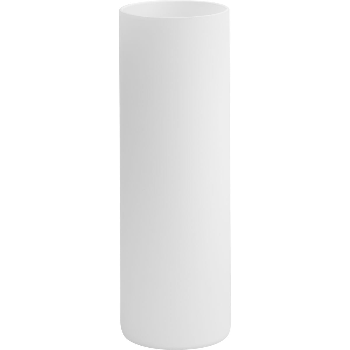 Progress Lighting P860061-029 Elara etched white glass shade