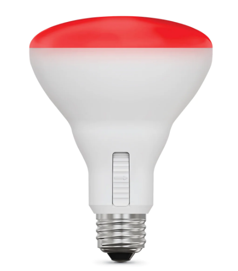 65 w online 120v light bulb