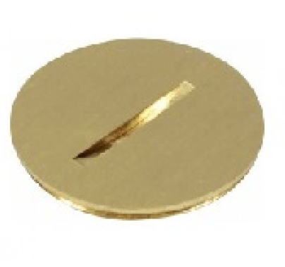 Orbit RP-100-BR 1" Round Plug for R1G & R2G Floor Box Cover, Brass Finish.