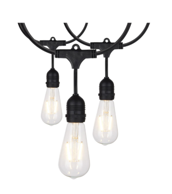SATCO S8036 24Ft LED String Light; 12 Vintage ST19 bulbs Included; 120 Volts