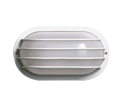 Nuvo SF77-858 1 Light - 10" - Oval Cage Wall Light Fixture - Polysynthetic Body & Lens - White Finish