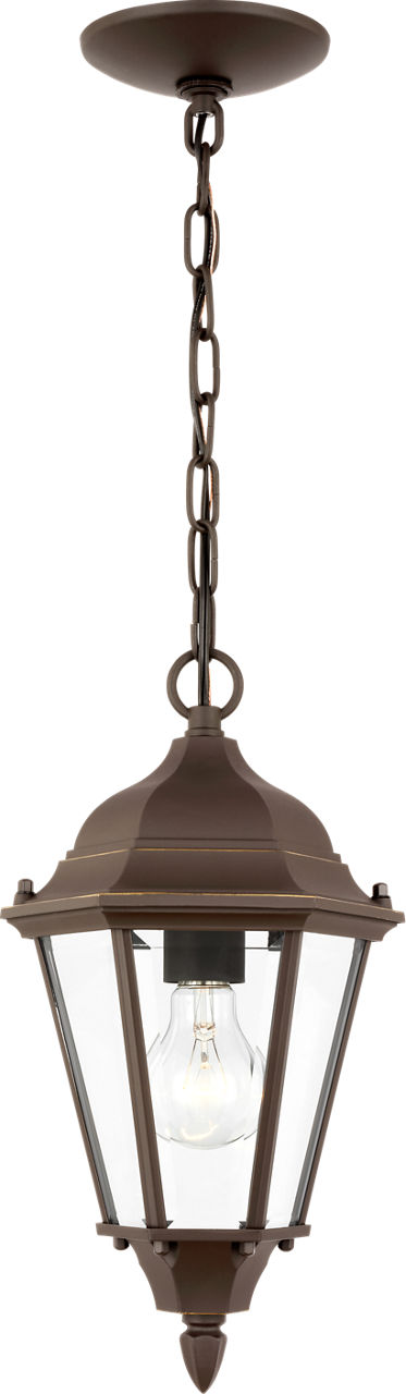Generation Lighting Bakersville 1 light antique bronze hanging lantern ceiling light