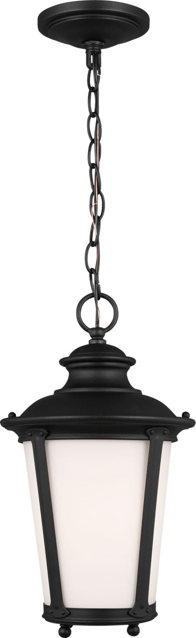 Generation Lighting Cape May 1 light black hanging lantern ceiling light