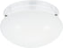 Generation Lighting Webster 2 light white flush mount ceiling light