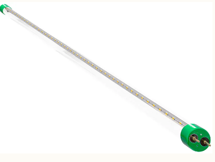 Westgate T8-EZ6-GS-4FT-18W-65K-C LED T8-EZ5 Glass Tube Lamps, 18W, 6500K with Clear