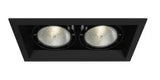 Eurofase Lighting TE132-01 150W Recessed Light w/ Trim, 2-Light, PAR30, 120V, All Black Finish