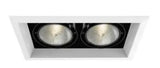 Eurofase Lighting TE132-02 150W Recessed Light w/ Trim, 2-Light, PAR30, 120V, White/Black Finish