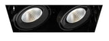 Eurofase Lighting  TE222LED-35-4-01 12-in 52W Recessed Downlight, 2-Light, Wide, 120V, 5000 lm, 3500K, Black Finish