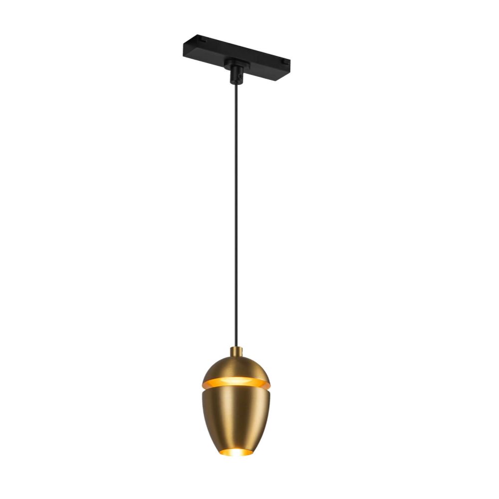 Kuzco Lighting TRP89703-BG Eloa 3 inch LED Track Pendant in Brushed Gold, Color Temperature 3000K, Wattage 8W