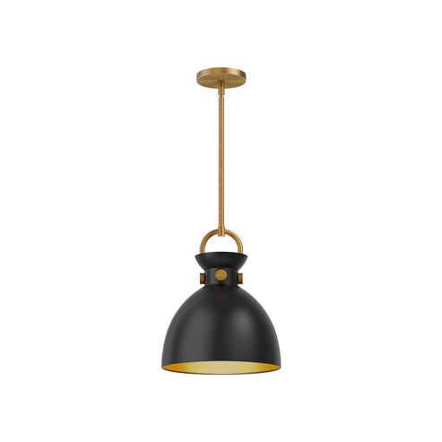 Alora Mood PD411311AGMB Waldo 1-Light Pendant, 11", Steel, 60W, 120V, Adjustable Rod, Dry Rated, Aged Gold/Matte Black