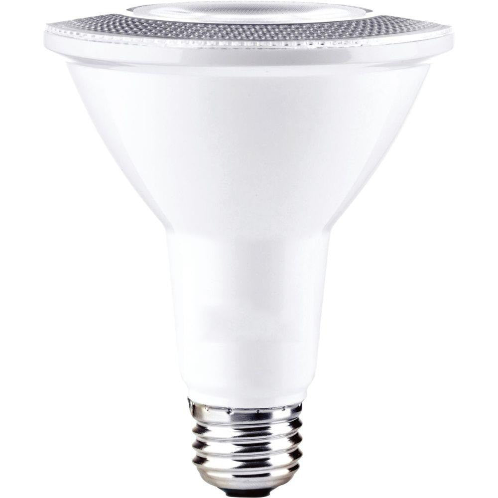 Maxim Lighting BL10PAR30FT120V30 Accessory 10W PAR30 LED Replacement Lamp Frosted